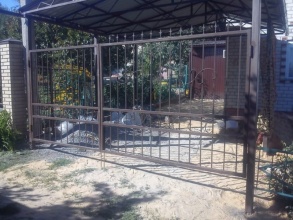 Решетчатые ворота распашные - пример 12 фото в Кстово